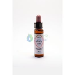 Cellular Memory Bailey flower essence 10ml.