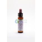 Transition Bailey flower essence 10ml.