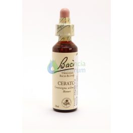 Cerato Bach™ Original Flower Remedy