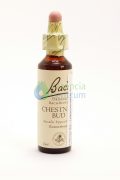 Chestnut Bud Bach™ Original Flower Remedy