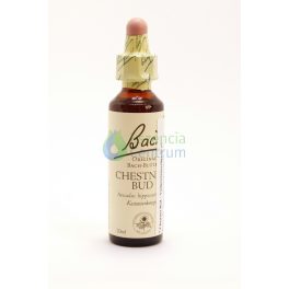 Chestnut Bud Bach™ Original Flower Remedy