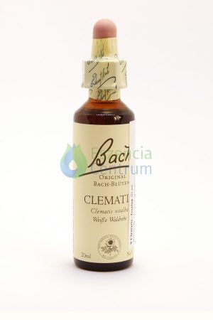 Clematis Bach™ Original Flower Remedy