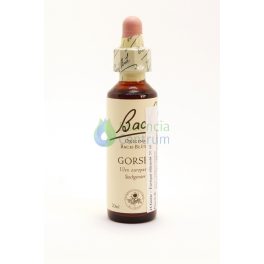   Bach-virágeszencia 13. Gorse (Sülzanót) Nelson's 20ml