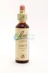 Larch Bach™ Original Flower Remedy