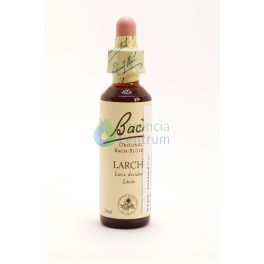   Bach-virágeszencia 19. Larch (Vörösfenyő) Nelson's 20ml