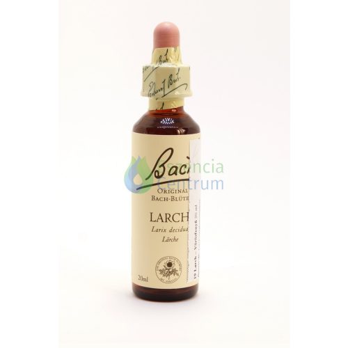 Larch Bach™ Original Flower Remedy