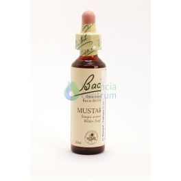   Bach-virágeszencia 21. Mustard (Vadrepce) Nelson's 20ml