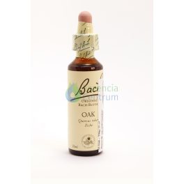 Bach-virágeszencia 22. Oak (Tölgyfa) Nelson's 20ml