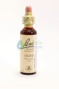 Olive Bach™ Original Flower Remedy