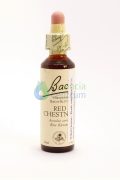Red Chestnut Bach™ Original Flower Remedy