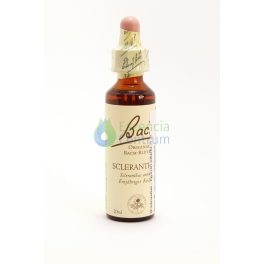   Bach-virágeszencia 28. Scleranthus (Szikárka) Nelson's 20ml