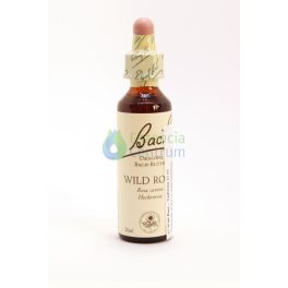   Bach-virágeszencia 37. Wild Rose (Vadrózsa) Nelson's 20ml