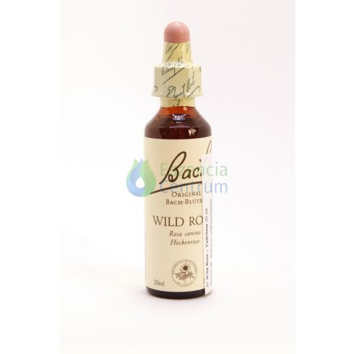 Wild Rose Bach™ Original Flower Remedy