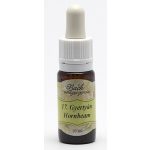 Hornbeam (17. Gyertyán) virágeszencia