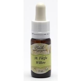 Willow (38. Fűzfa) virágeszencia