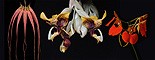 Serene Power összetett orchidea eszencia
