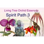 Spirit Path 3 összetett orchidea eszencia