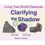 Clarifying the Shadow