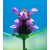 Közönséges gyíkfű (Prunella vulgaris) DEVA Európai virágeszencia