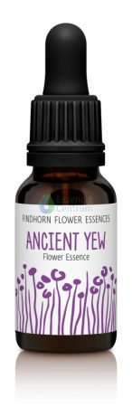 Ancient Yew Findhorn Flower Essence 15ml.