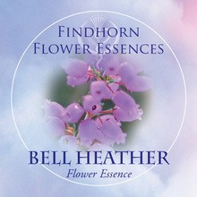 Bell Heather Findhorn Flower Essence 15ml.