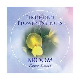   Seprőzanót (Cytisus scoparius – Broom) Findhorn Virágeszencia 15ml. KIFUTÓ TERMÉK!