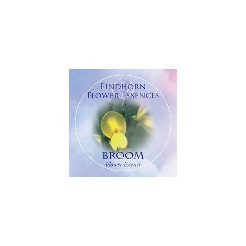 Seprőzanót (Cytisus scoparius – Broom) Findhorn Virágeszencia 15ml. KIFUTÓ TERMÉK!