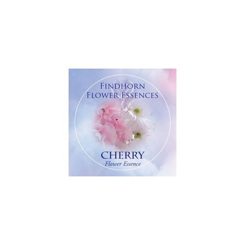 Cherry Findhorn Flower Essence 15ml.