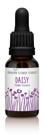 Daisy Findhorn Flower Essence 15ml.