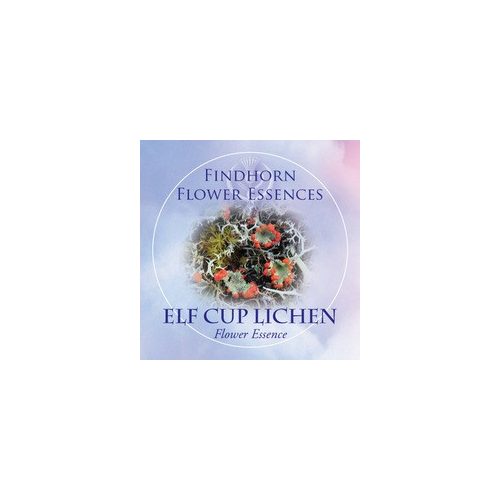 Skarlát zuzmó (Cladonia coccifera – Elf Cup Lichen) Findhorn Virágeszencia 15ml. KIFUTÓ TERMÉK!