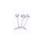 Elf Cup Lichen Findhorn Flower Essence 15ml.