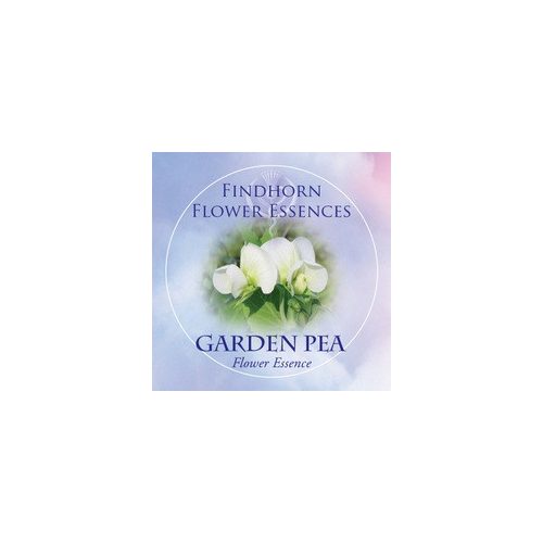 Borsó (Pisum sativum – Garden Pea) Findhorn Virágeszencia 15ml.