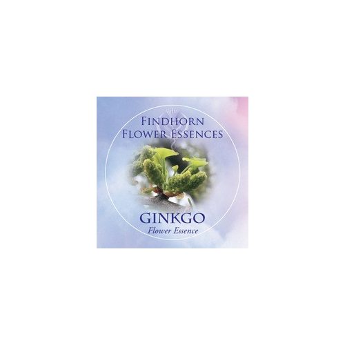 Páfrányfenyő (Ginkgo biloba – Ginkgo) Findhorn Virágeszencia 15ml. KIFUTÓ TERMÉK!