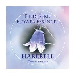   Harangvirág (Campanula rotundifolia – Harebell) Findhorn Virágeszencia 15ml. KIFUTÓ TERMÉK!