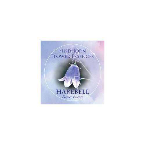 Harangvirág (Campanula rotundifolia – Harebell) Findhorn Virágeszencia 15ml. KIFUTÓ TERMÉK!