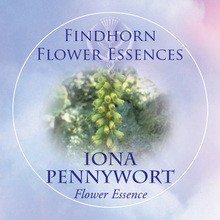 Iona Pennywort Findhorn Flower Essence 15ml.