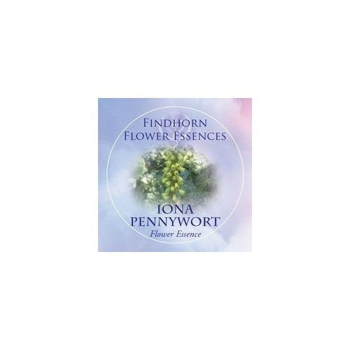 Köldökfű (Umbilicus rupestris – Iona Pennywort) Findhorn Virágeszencia 15ml. KIFUTÓ TERMÉK!