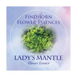   Palástfű (Alchemilla vulgaris – Lady's Mantle) Findhorn Virágeszencia 15ml. KIFUTÓ TERMÉK!