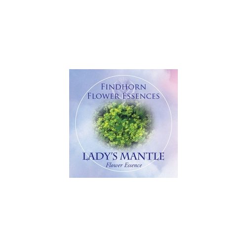 Palástfű (Alchemilla vulgaris – Lady's Mantle) Findhorn Virágeszencia 15ml. KIFUTÓ TERMÉK!