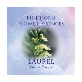   Portugál babérmeggy (Prunus lusitanica – Laurel) Findhorn Virágeszencia 15ml. KIFUTÓ TERMÉK!