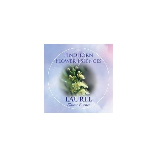 Laurel Findhorn Flower Essence 15ml.
