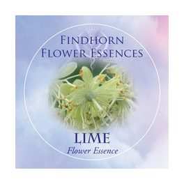   Hárs (Tilia platyphyllos – Lime) Findhorn Virágeszencia 15ml. KIFUTÓ TERMÉK!