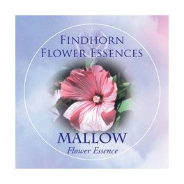   Erdei mályva (Malva sylvestris – Mallow) Findhorn Virágeszencia 15ml. KIFUTÓ TERMÉK!