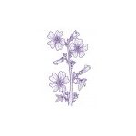 Mallow Findhorn Flower Essence 15ml.