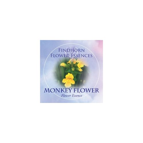 Monkey Flower Findhorn Flower Essence 15ml.