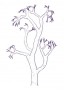 Puha tölcsérzuzmó (Cladonia mitis – Reindeer Lichen) Findhorn Virágeszencia 15ml.