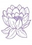 Tündérrózsa (Nymphaea – Rose Water Lily) Findhorn Virágeszencia 15ml.
