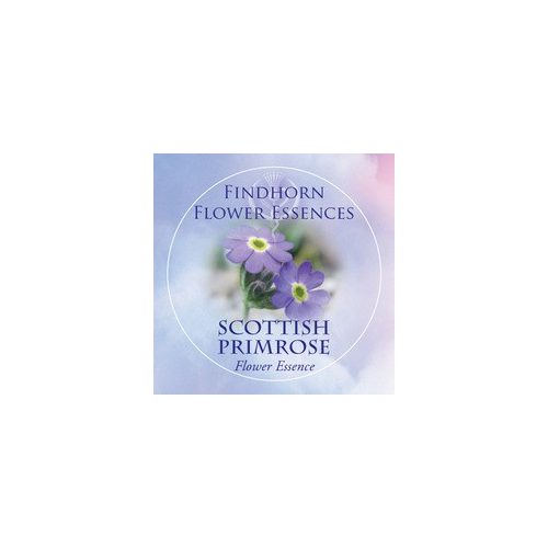 Scottish Primrose Findhorn Flower Essence 15ml.