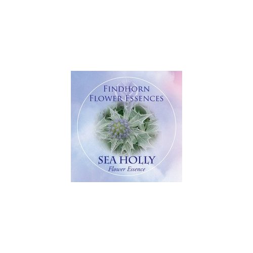 Iringó (Eryngium maritimum – Sea Holly) Findhorn Virágeszencia 15ml. KIFUTÓ TERMÉK!