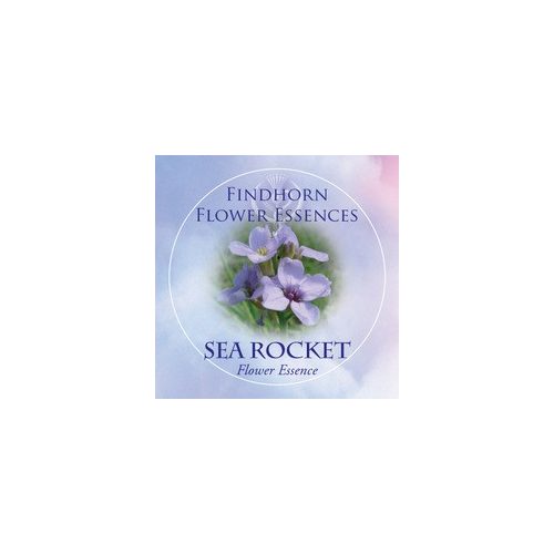 Tengeri mustár (Cakile maritima – Sea Rocket) Findhorn Virágeszencia 15ml. KIFUTÓ TERMÉK!